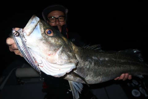 20221106230841_IMG_3048