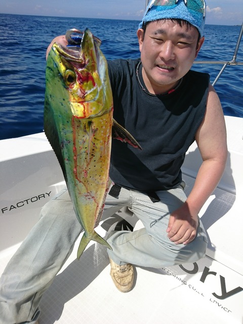 [画像:5bdec162-s.jpg]