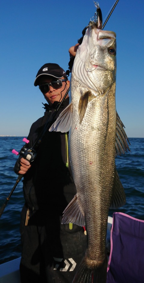 [画像:5c33ea72-s.jpg]