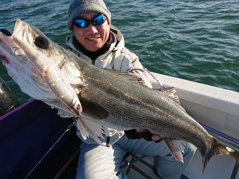 [画像:5d18f268-s.jpg]