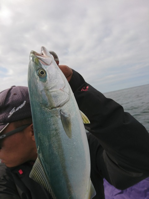 [画像:5d299c78-s.jpg]