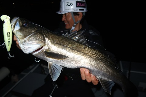 20240404203101_IMG_0830