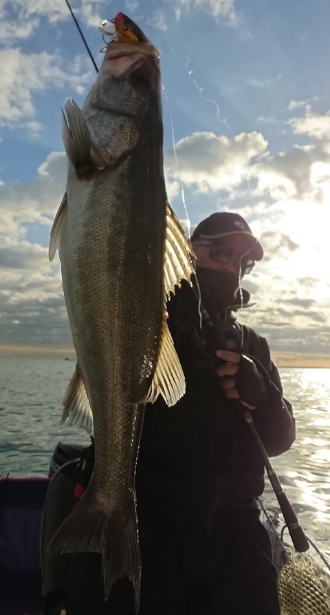 [画像:5d74e3bb-s.jpg]