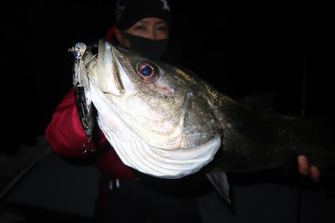 20200310005332_IMG_7923