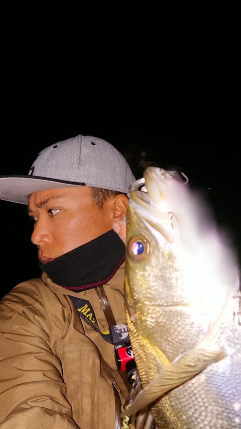 sketch-1542377047044