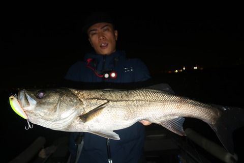 20240425202033_IMG_1227