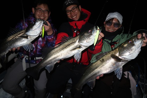 20231228203030_IMG_9428