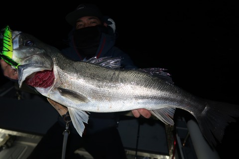 20220225202445_IMG_9811