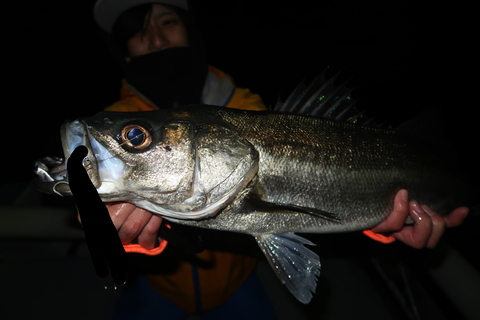 sketch-1671234067747