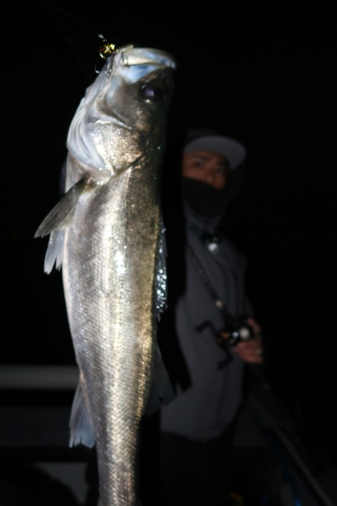 20200127045820_IMG_7307