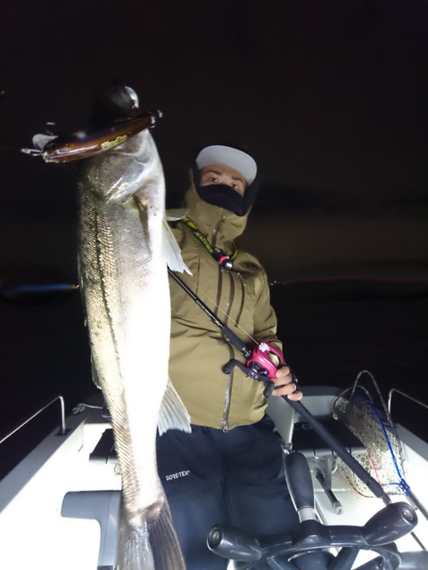 sketch-1543009360267