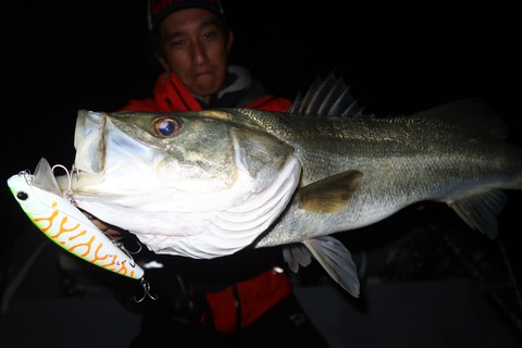 20221108223311_IMG_3068