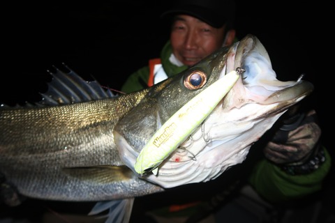 20231113223103_IMG_8440