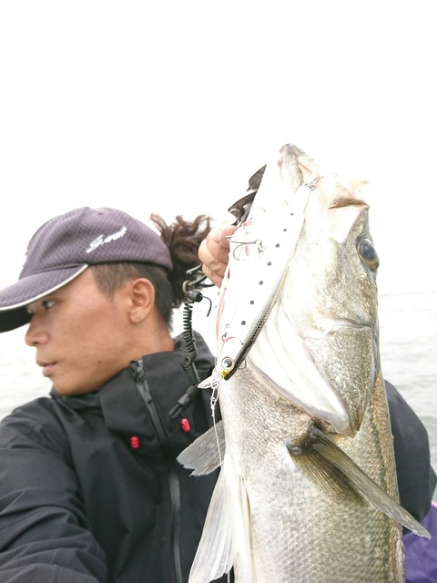 [画像:5fb53514-s.jpg]