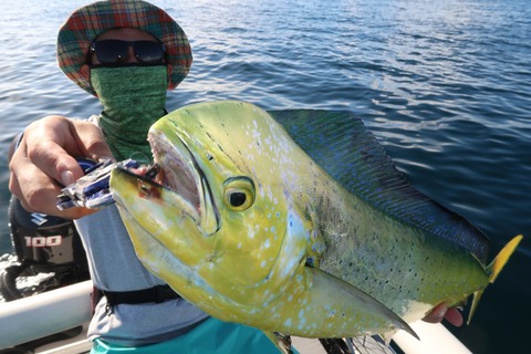 20200827072329_IMG_9973