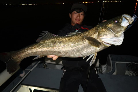 20221023003731_IMG_2665