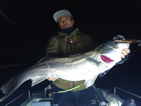 sketch-1542643920741