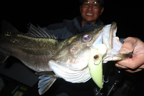 20240401220553_IMG_0814