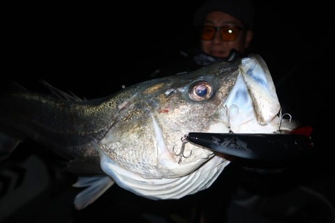 20221217214955_IMG_4197