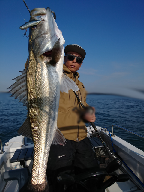 sketch-1541937409345