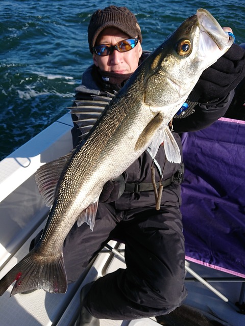 [画像:629dfd2a-s.jpg]