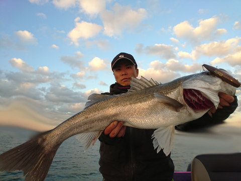 sketch-1513768203052