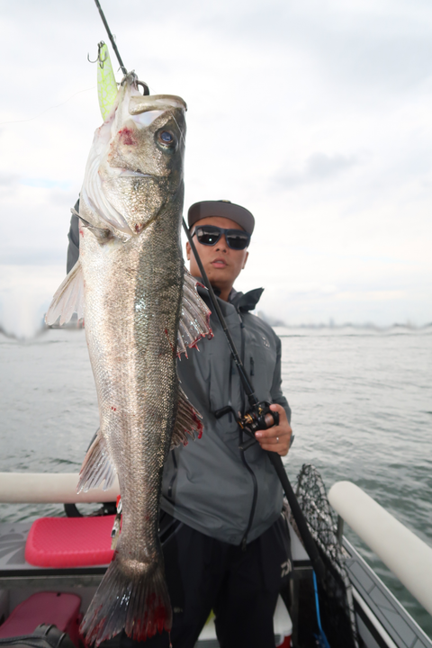 sketch-1602583869254