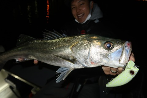 20221021212956_IMG_2619