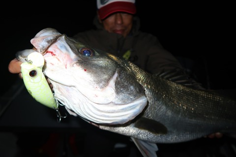 20221101012530_IMG_2898