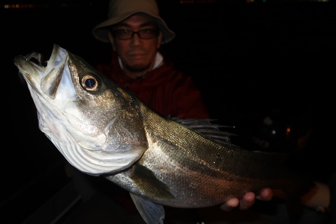 20200524212634_IMG_9008