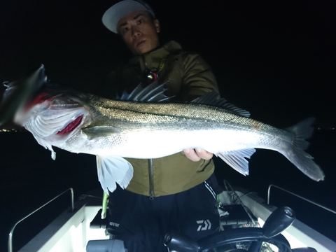 sketch-1541711277756