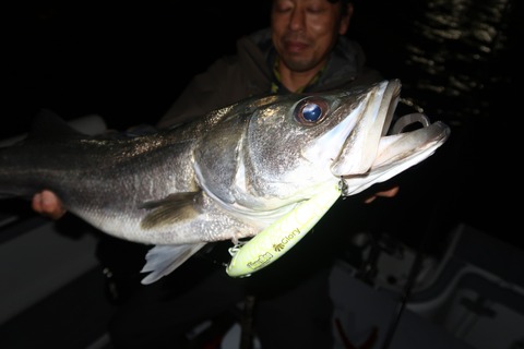 20201026192812_IMG_0881