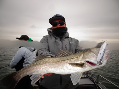 ぼかし丸_20191222_193747