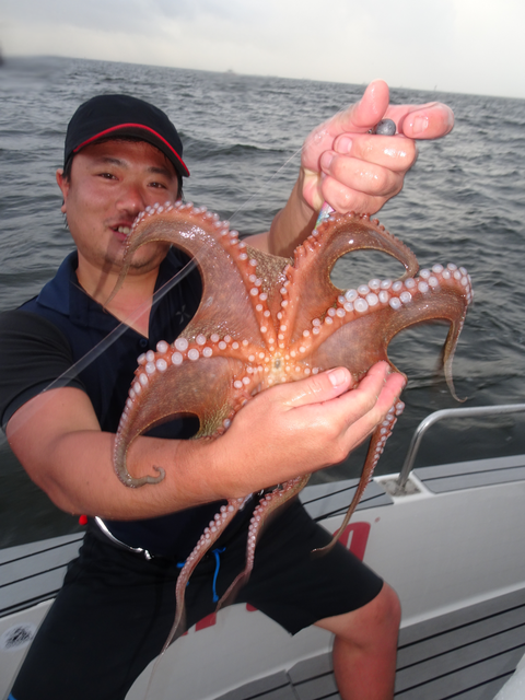 sketch-1564201859727