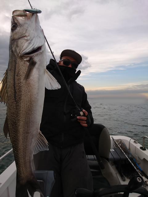 sketch-1544450008392