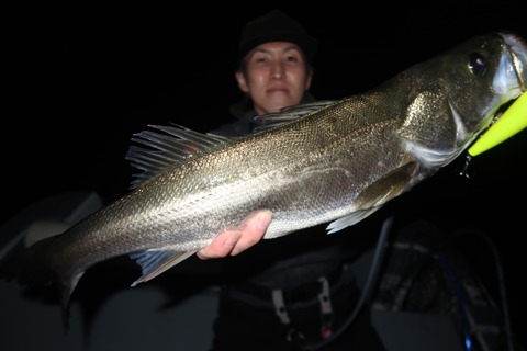 20231026200158_IMG_8200