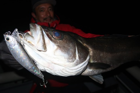 20231123202425_IMG_8700