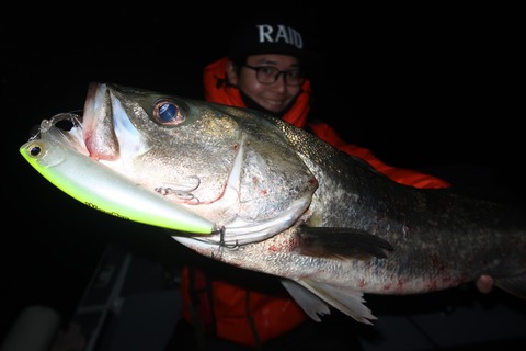 20231116224823_IMG_8548