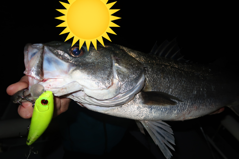 sketch-1639493449634