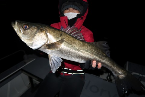 20200218225830_IMG_7598