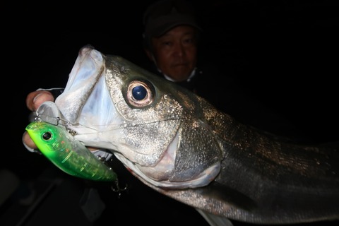 20221021193709_IMG_2609