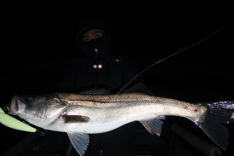 sketch-1671831911794