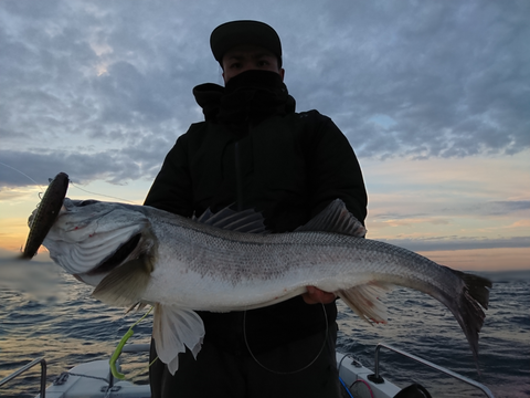 sketch-1544450075065