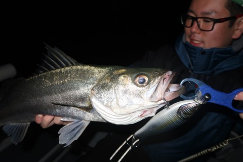 20201015032800_IMG_0574