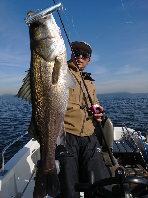 sketch-1542452070607