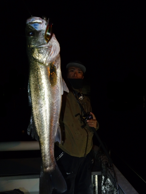 sketch-1572973435334