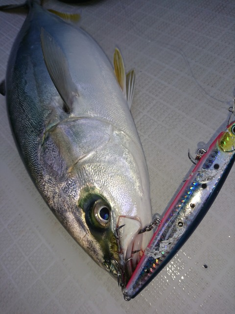 [画像:6c761045-s.jpg]