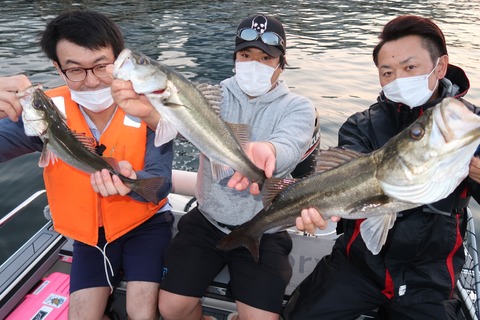 20200502050150_IMG_8669