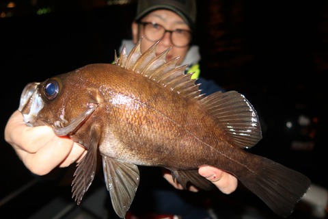 20200425223913_IMG_8567