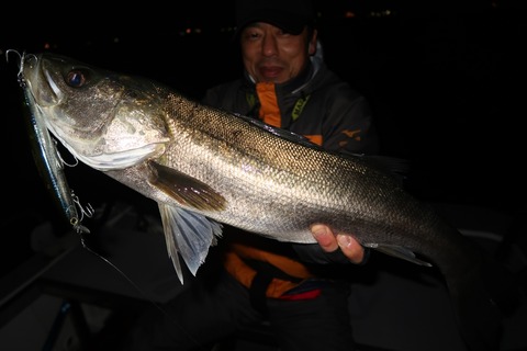 20200323215238_IMG_8097